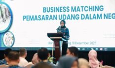 Kebijakan Tarif dan Kontaminasi, Penghambat Ekspor Perikanan Lampung