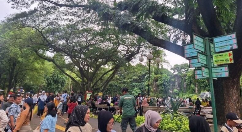 foto slider headline