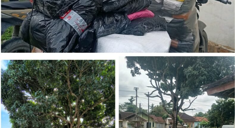 foto slider headline