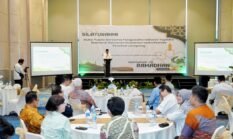 Dorong Keseimbangan Petani dan Industri, Pemprov Lampung Bangun Ekosistem Singkong Berkelanjutan