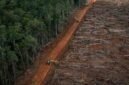 HUTAN menjadi satu kebutuhan. Akankah Indonesia masih akan memiliki Hutan lestari? [Net/Ist]