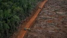 HUTAN menjadi satu kebutuhan. Akankah Indonesia masih akan memiliki Hutan lestari? [Net/Ist]