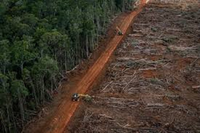HUTAN menjadi satu kebutuhan. Akankah Indonesia masih akan memiliki Hutan lestari? [Net/Ist]