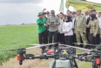 GUBERNUR Lampung Komitmen Optimalkan Modernisasi dan Hilirisasi Pertanian [Nr]