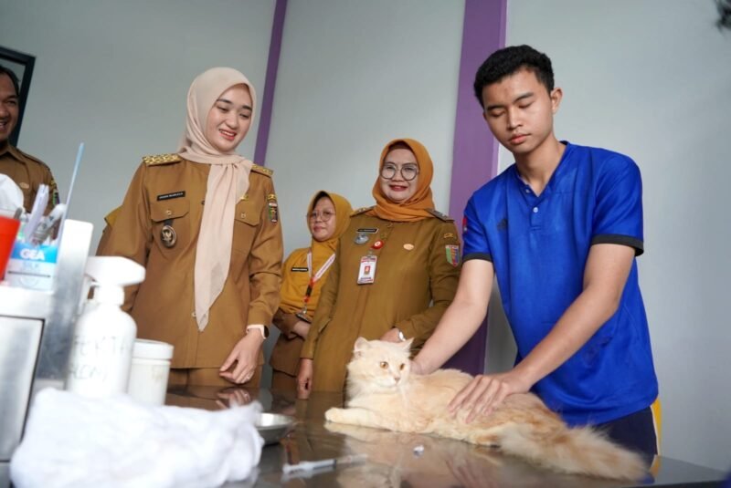  Jihan Nurlela memastikan Rumah Sakit Hewan Provinsi Lampung akan mulai beroperasi secara penuh dalam dua pekan ke depan setelah seluruh proses administrasi dan persyaratan operasional rampung. [De]