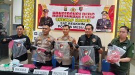 Team Tekab 308, Polres Mesuji, Polda Lampung, bergerak cepat memburu para pelaku pembunuhan satwa dilindungi Tapir yang videonya viral di jagat maya, Kabupaten Mesuji.[Nya]