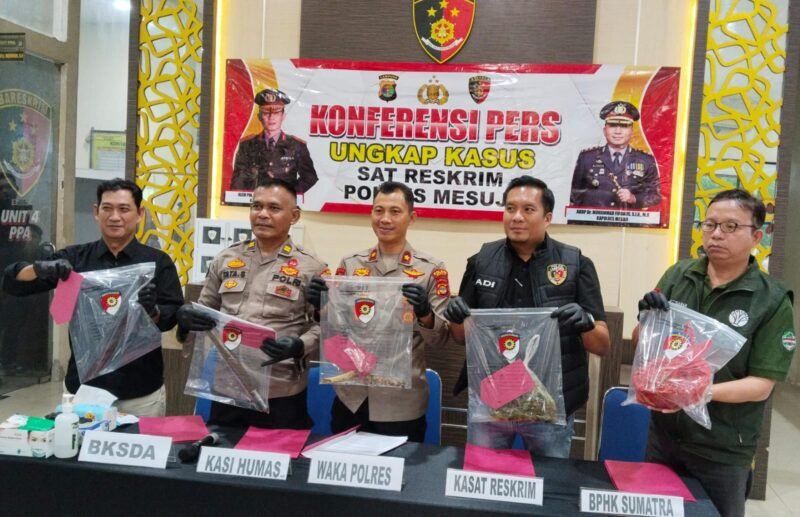 Team Tekab 308, Polres Mesuji, Polda Lampung, bergerak cepat memburu para pelaku pembunuhan satwa dilindungi Tapir yang videonya viral di jagat maya, Kabupaten Mesuji.[Nya]