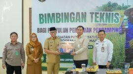 Pemerintah Provinsi Lampung memperkuat sektor pertanian berbasis kerakyatan melalui program optimalisasi penggunaan Pupuk Hayati Cair (PHC) guna mendongkrak produktivitas komoditas unggulan daerah sekaligus mewujudkan swasembada pangan nasional. []