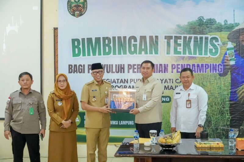 Pemerintah Provinsi Lampung memperkuat sektor pertanian berbasis kerakyatan melalui program optimalisasi penggunaan Pupuk Hayati Cair (PHC) guna mendongkrak produktivitas komoditas unggulan daerah sekaligus mewujudkan swasembada pangan nasional. []