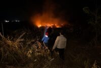 Jajaran Polres Mesuji melalui unit Polsek Simpang Pematang bergerak cepat menanggapi aduan masyarakat yang masuk melalui layanan kepolisian 110 pada hari Minggu 12 Juli 2026 sekira pukul 19.30 wib, terkait kejadian Kebakaran Hutan dan Lahan (Karhutla) di wilayah Desa Simpang Pematang, Kecamatan Simpang Pematang, Kabupaten Mesuji.[Na]