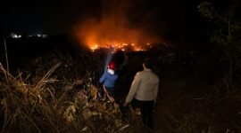 Jajaran Polres Mesuji melalui unit Polsek Simpang Pematang bergerak cepat menanggapi aduan masyarakat yang masuk melalui layanan kepolisian 110 pada hari Minggu 12 Juli 2026 sekira pukul 19.30 wib, terkait kejadian Kebakaran Hutan dan Lahan (Karhutla) di wilayah Desa Simpang Pematang, Kecamatan Simpang Pematang, Kabupaten Mesuji.[Na]