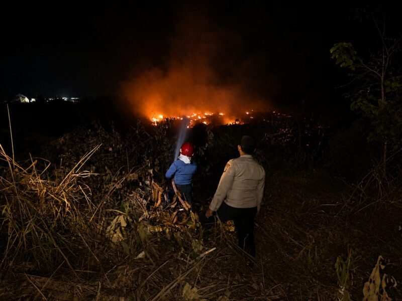 Jajaran Polres Mesuji melalui unit Polsek Simpang Pematang bergerak cepat menanggapi aduan masyarakat yang masuk melalui layanan kepolisian 110 pada hari Minggu 12 Juli 2026 sekira pukul 19.30 wib, terkait kejadian Kebakaran Hutan dan Lahan (Karhutla) di wilayah Desa Simpang Pematang, Kecamatan Simpang Pematang, Kabupaten Mesuji.[Na]