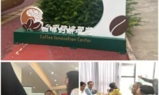 Pu’er Kota Kopi Tiongkok yang Siap Kalahkan Brazil dan Indonesia