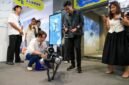 
Jurnalis dan pemengaruh media sosial dari negara-negara ASEAN berinteraksi dengan robot anjing di zona robotika di Shenzhen, Provinsi Guangdong, China selatan, pada 29 Juli 2026. [Xin]