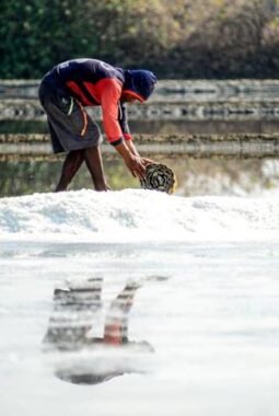 Zulhas: 2027 Stop Impor Garam