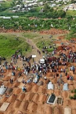 Wabah Ebola Serang Kongo, 330 Anak Meninggal