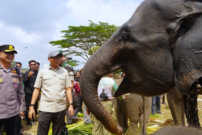 Gubernur Lampung dan Gajah TNWK