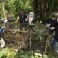 
Seekor harimau Sumatra betina ditemukan di dalam kandang perangkap di Kabupaten Agam, Provinsi Sumatra Barat, pada 12 Agustus 2026. (Xin)