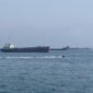 Foto yang diabadikan menggunakan telepon seluler ini memperlihatkan kapal-kapal dagang yang terjebak di perairan Selat Hormuz, dekat Khasab, sebuah kota kecil di Oman utara, pada 29 Mei 2026. (Xin)