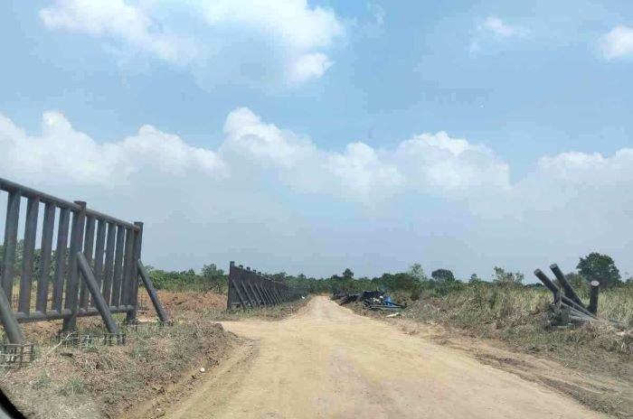 PEMAGARAN yang mubazir, kalau manusia perusak TNWK gak dibenahi [Na]