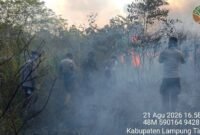 UPAYA Pemadaman yang dilakukan petugas  gabungan terus dilakukan. [sony]