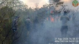 UPAYA Pemadaman yang dilakukan petugas  gabungan terus dilakukan. [sony]