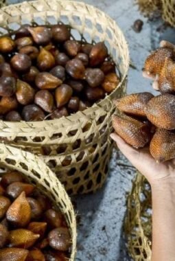 Ekspor Salak dan Durian Indonesia ke China