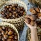 Salak Indonesia Masuk Pasar China dan Terus Meningkat