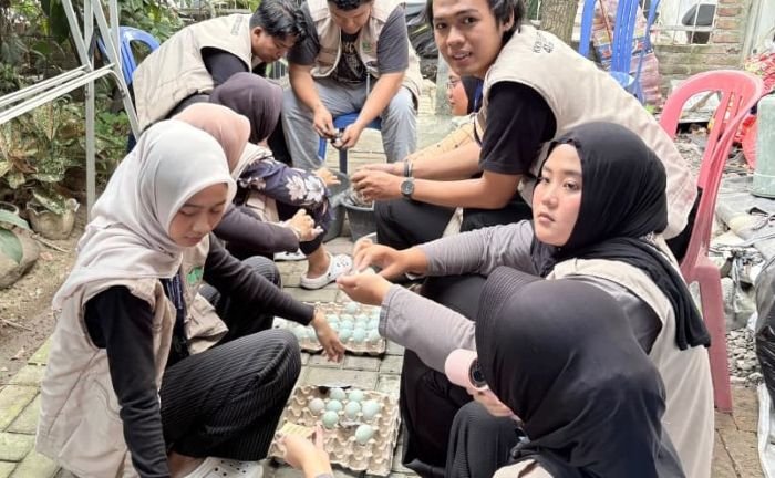 Mahasiswa KKN UIN Raden Intan Dampingi UMKM Telor Bu Uum Liwat Penjualan Digital [lin]