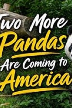 Diplomasi Panda Xi-Guna Lingkungan Lebih Aman