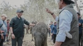 Kemenhut Raja Juli dan Gubernur Lampung di TNWK [KLp]