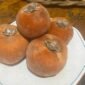 Buah Bisbul [Aan Ibrahim]