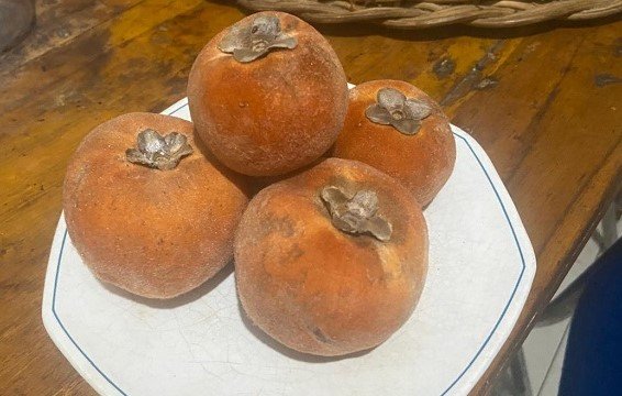 Buah Bisbul [Aan Ibrahim]