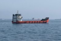 Foto yang diabadikan menggunakan ponsel ini memperlihatkan kapal-kapal niaga yang terdampar di perairan Selat Hormuz di dekat Khasab, sebuah kota kecil di Oman utara, pada 29 Mei 2026. (Xinhua)