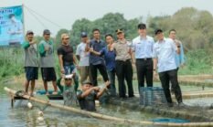 Pakan Mandiri Tekan Biaya Produksi hingga 50 Persen