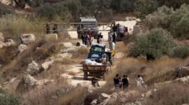 Para petani Palestina terlihat di sebuah pos pemeriksaan militer Israel setelah pasukan tersebut mencegah mereka memanen zaitun di lahan mereka, di Desa Salem, sebelah timur Nablus, di Tepi Barat, pada 17 Oktober 2026. (Xinhua)