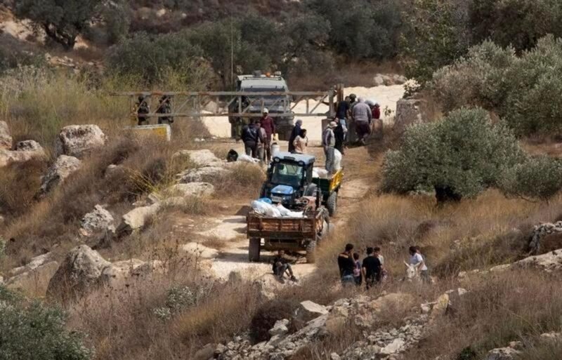 Para petani Palestina terlihat di sebuah pos pemeriksaan militer Israel setelah pasukan tersebut mencegah mereka memanen zaitun di lahan mereka, di Desa Salem, sebelah timur Nablus, di Tepi Barat, pada 17 Oktober 2026. (Xinhua)
