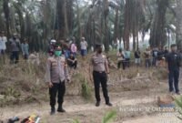 Polisi Olah TKP Penemuan Mayat Wanita di Mesuji [NR]