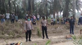 Polisi Olah TKP Penemuan Mayat Wanita di Mesuji [NR]