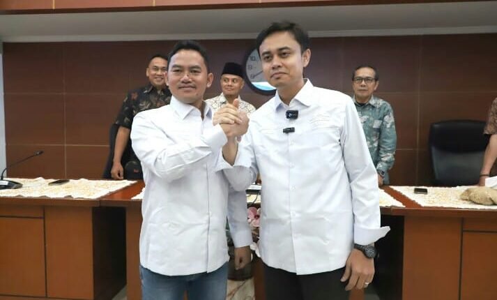 foto slider headline