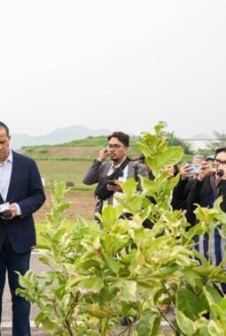 Mentrans RI Jajaki Kerja Sama di Chongqing, Tiongkok